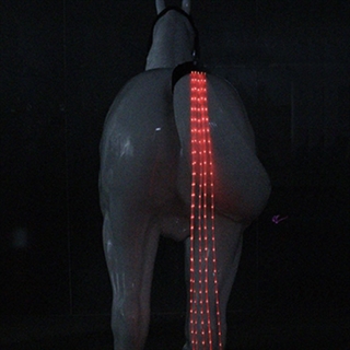 LED lys til hestehale - Rødt lys